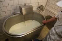 ASZ Vsetín - Kde končí chleba a začíná kamení