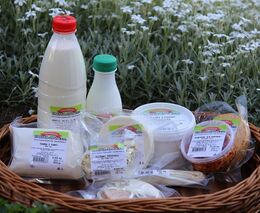 Zlínský kraj podpoří z nového programu regionální zemědělce, potravináře a vinaře