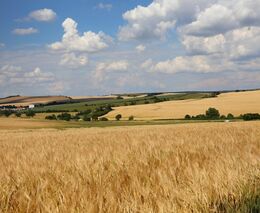 ASZ Vyškov – Sedláci nebrečí  