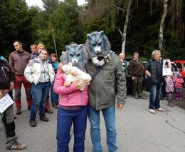 Neomezené rozšiřování vlků závažným problémem