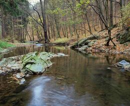 Kniha, kterou stojí za to si koupit: Krajina a voda