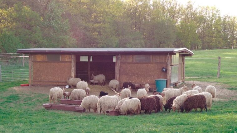 Je budoucí výstavba zemědělských staveb soukromých zemědělců ohrožena?
