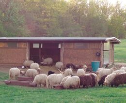 Je budoucí výstavba zemědělských staveb soukromých zemědělců ohrožena?
