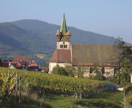 Alsasko – zájezd do vinařského regionu na samém východě Francie