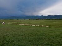 Jak farmáři v EU vnímají svou ekonomickou situaci?