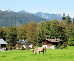 EU by měla umožnit větší pružnost svých opatření, aby dokázala rychleji reagovat na krizové situace 