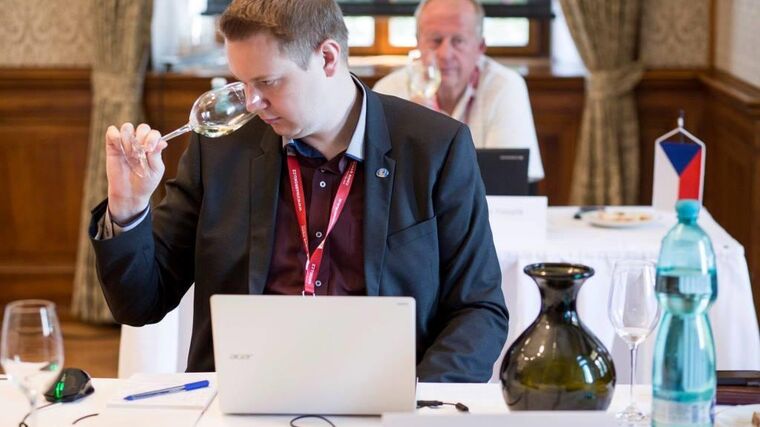 Josef Valihrach: Evropský parlament má šanci získat větší legitimitu, v tom vidím i naději pro ČR