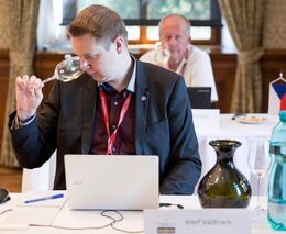 Josef Valihrach: Evropský parlament má šanci získat větší legitimitu, v tom vidím i naději pro ČR