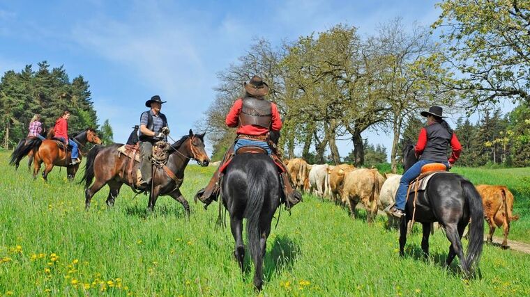 Život na vesnici přináší kůň