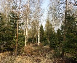  Kdo uzdraví naše lesy a pole? Chytří hospodáři