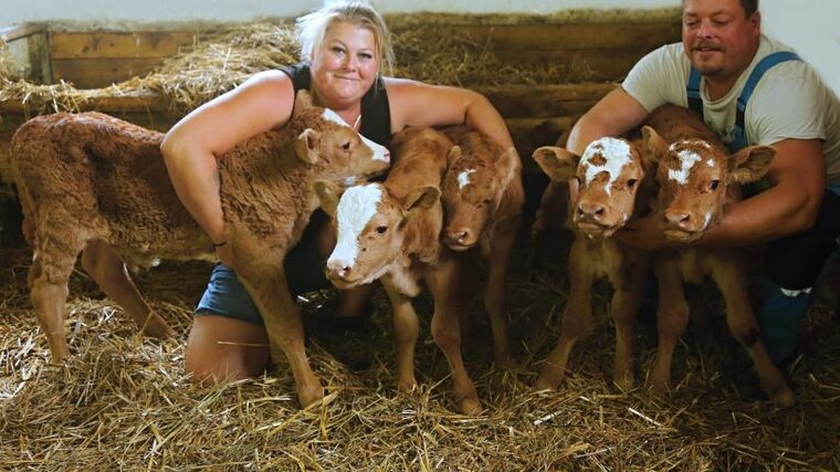 Světový rekord dorovnán - na farmě člena ASZ Příbram se narodila paterčata