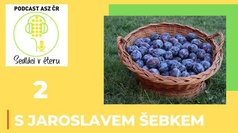 2. díl: S předsedou Jaroslavem Šebkem o působení v Asociaci i mimo ni