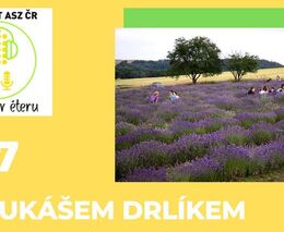 Sedláci v éteru - Levandulový díl s Lukášem Drlíkem