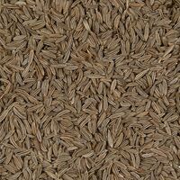 České koření s rodinnou tradicí oslavilo 85 let