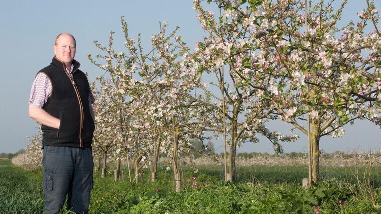 Stephen Briggs: Agrolesnické systémy jsou pro české zemědělce jasná budoucnost