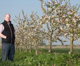 Stephen Briggs: Agrolesnické systémy jsou pro české zemědělce jasná budoucnost