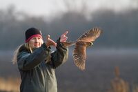 Chránit přírodu, to znamená v ní dobře hospodařit