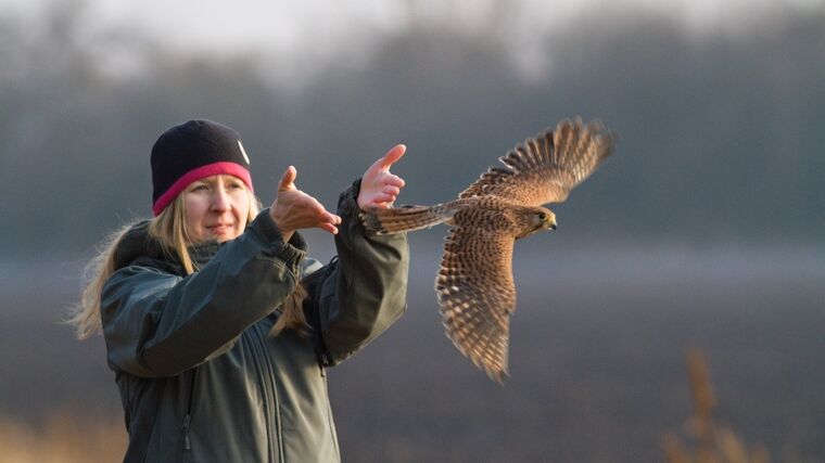 Český svaz ochránců přírody k Návrhu programového prohlášení budoucí vlády 