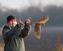 Český svaz ochránců přírody k Návrhu programového prohlášení budoucí vlády 