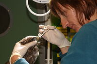 Chránit přírodu, to znamená v ní dobře hospodařit