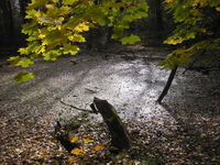 Chránit přírodu, to znamená v ní dobře hospodařit