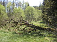 Chránit přírodu, to znamená v ní dobře hospodařit