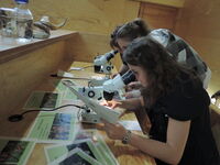 Chránit přírodu, to znamená v ní dobře hospodařit