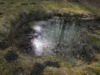 Chránit přírodu, to znamená v ní dobře hospodařit