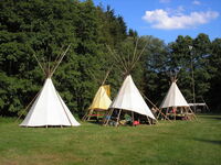 Chránit přírodu, to znamená v ní dobře hospodařit