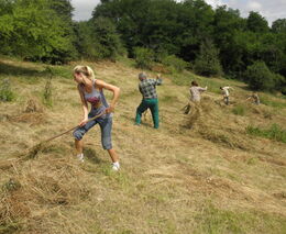 Chránit přírodu, to znamená v ní dobře hospodařit