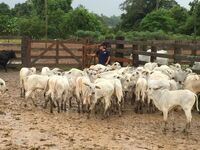 Dolores Bata: Chci jen spravedlnost pro svou rodinu, aby se tu i dál mohla cítit jako doma