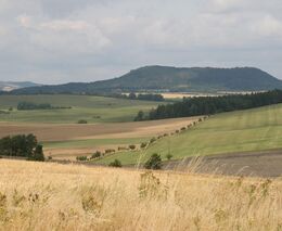 ASZ ČR se ke čtvrteční demonstraci rozhodně nepřipojí