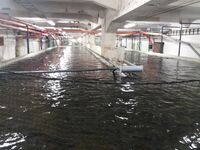O Martinu Junkovi, mlynáři, který měl rád ryby