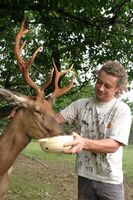 Maso z volně žijících zvířat je pro konzumenty velmi prospěšné, vyzdvihuje „záhumenkář“ Radim Kotrba
