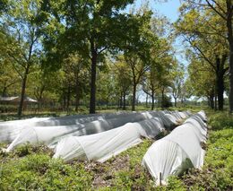 S Českým spolkem pro agrolesnictví do Francie