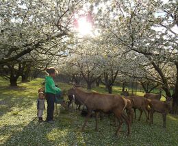 S Radimem Kotrbou o agrolesnictví v pořadu Krajina Dana Bárty v České televizi 