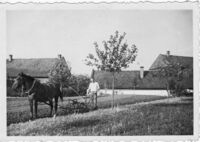 Roman Koutek: Ještě že jsme v EU!