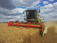 Roman Koutek: Ještě že jsme v EU!