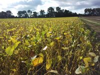 Roman Koutek: Ještě že jsme v EU!