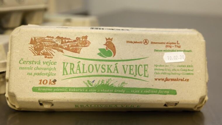 Kupujete podestýlková vejce? Takhle žijí nosnice v halách na podestýlce