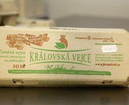 Kupujete podestýlková vejce? Takhle žijí nosnice v halách na podestýlce