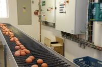 Jan Král, nový člen předsednictva ASZ: „Ekonomická síla ASZ je zatím málo využitá“