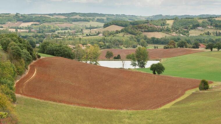 Rozhovor s Alanem Matthewsem nejen o rodinných farmách v kontextu nové SZP EU