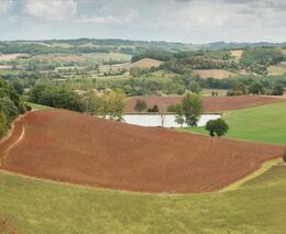 Rozhovor s Alanem Matthewsem nejen o rodinných farmách v kontextu nové SZP EU