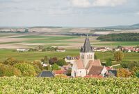 Rozhovor s Alanem Matthewsem nejen o rodinných farmách v kontextu nové SZP EU