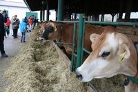 Dnešní fungující rodinná hospodářství jsou zadostiučiněním pro naše otce, říká Jan Miller