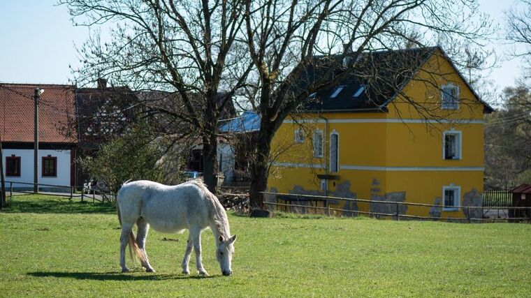 Geograf Radim Perlín: Malý zemědělec nebo rodinná farma jsou kořením krajiny