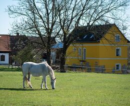Geograf Radim Perlín: Malý zemědělec nebo rodinná farma jsou kořením krajiny