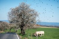Geograf Radim Perlín: Malý zemědělec nebo rodinná farma jsou kořením krajiny