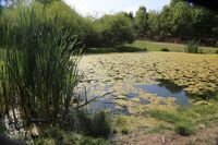 „Pestrá krajina je krajina otevřená,“ říká Daniel Pitek